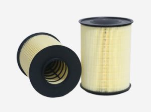 Injection air filter